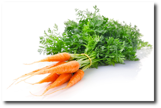 marchewcien marchewcien