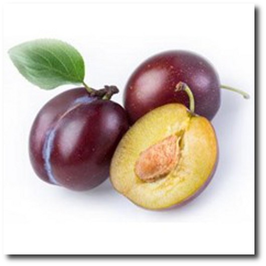 sliwkasklep1 sliwkasklep1